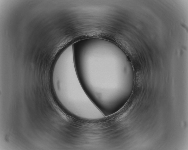 X0000097830589200803140830