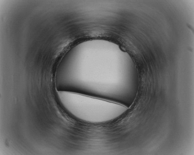 X0000097830592200803140829
