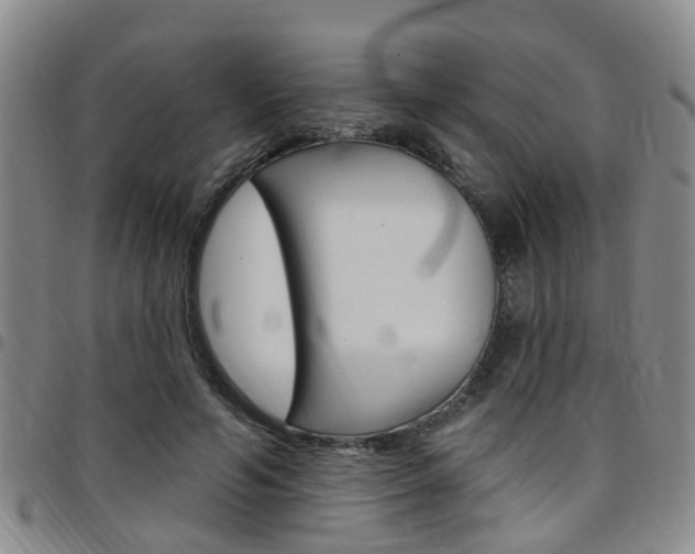 X0000097830594200803140829