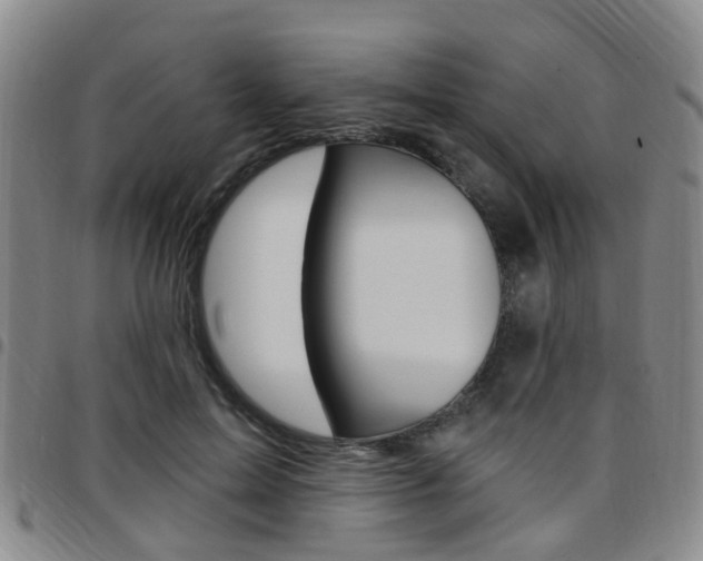 X0000097830599200803140829