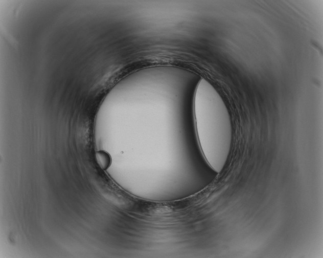 X0000097830600200803140829