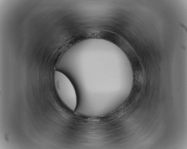 X0000097830602200803140829