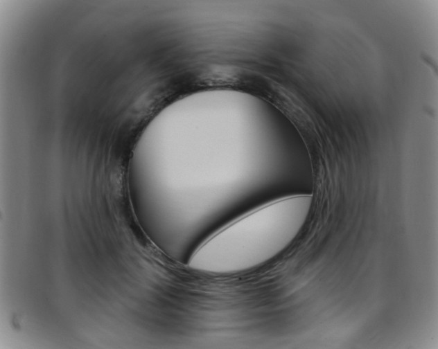 X0000097830604200803140829