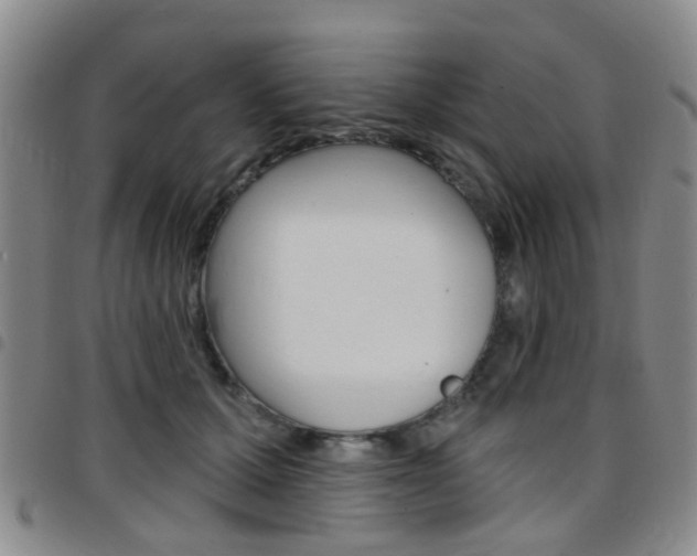 X0000097830607200803140829