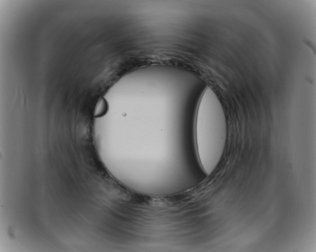 X0000097830608200803140829