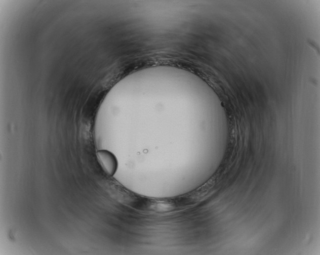 X0000097830610200803140829