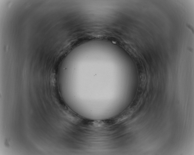 X0000097830612200803140829