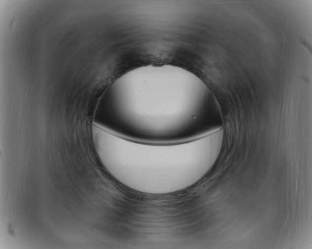 X0000097830613200803140829