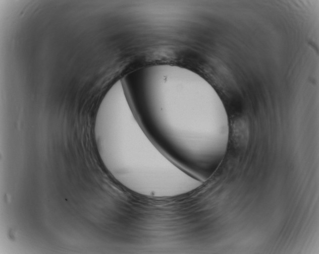 X0000097830617200803140829