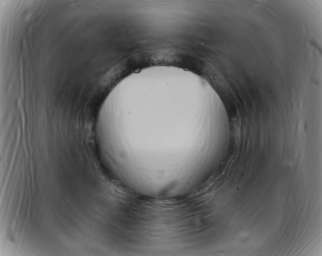 X0000097830619200803140829