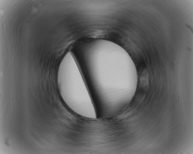 X0000097830620200803140829