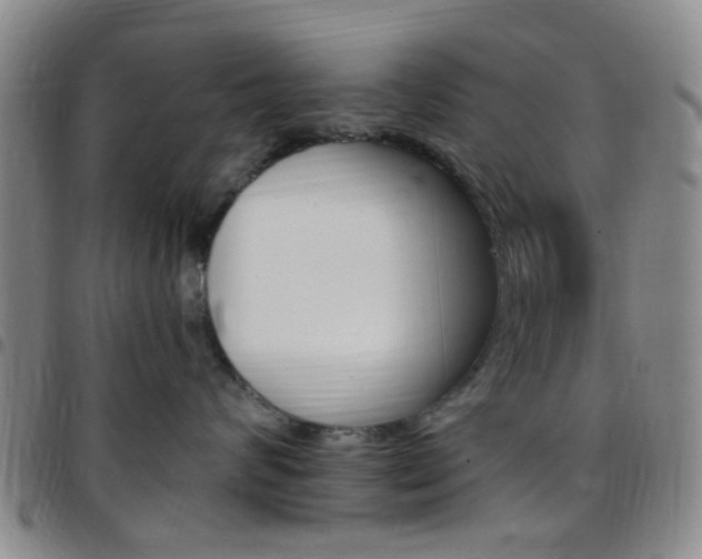 X0000097830624200803140829
