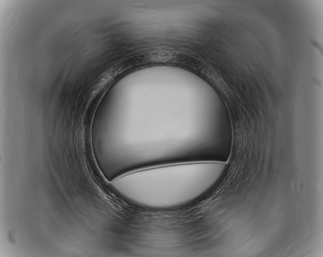 X0000097830626200803140828