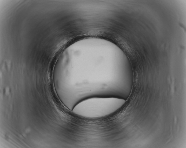 X0000097830636200803140829