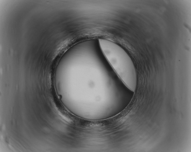 X0000097830638200803140829
