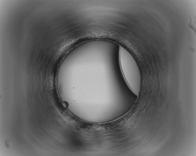 X0000097830640200803140829