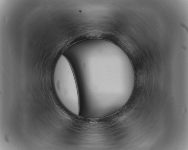 X0000097830641200803140829