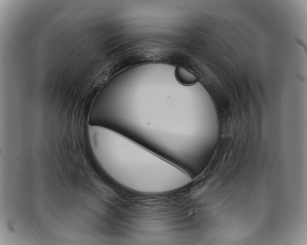 X0000097830646200803140829