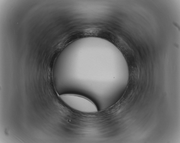 X0000097830649200803140829
