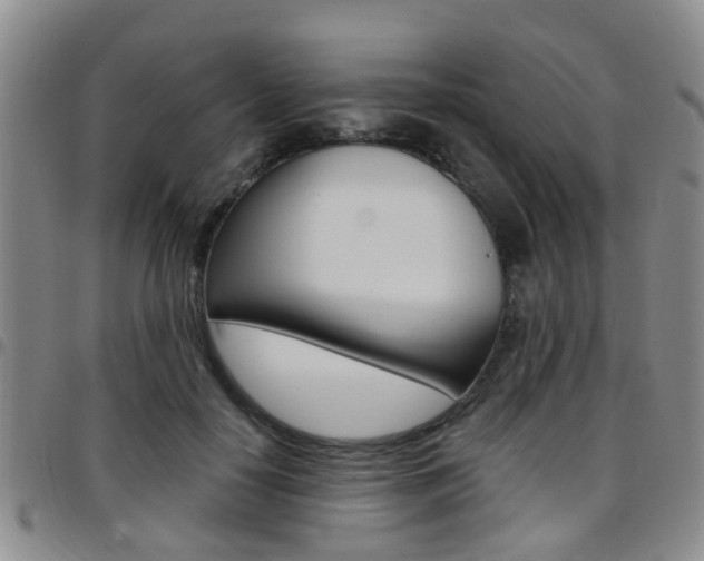 X0000097830650200803140829