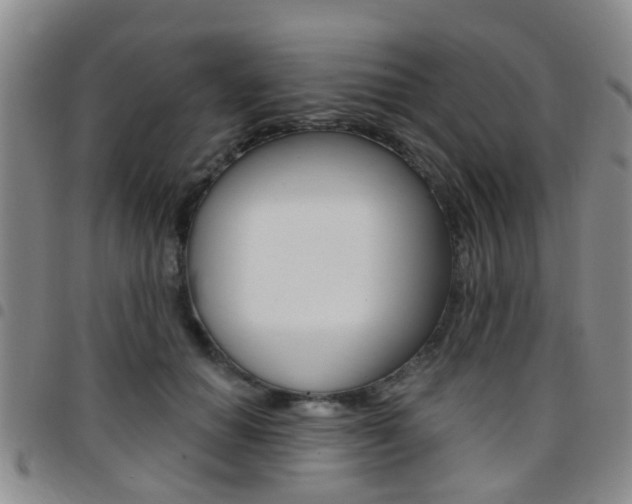 X0000097830654200803140829