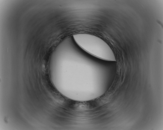 X0000097830655200803140829