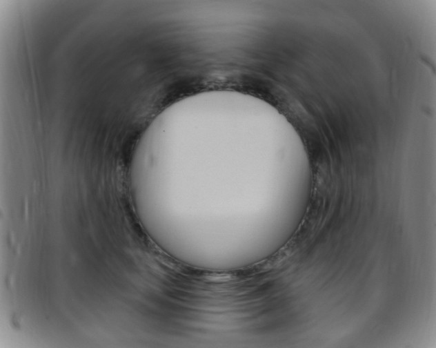 X0000097830659200803140829