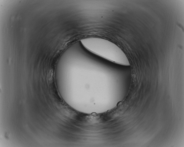 X0000097830660200803140829