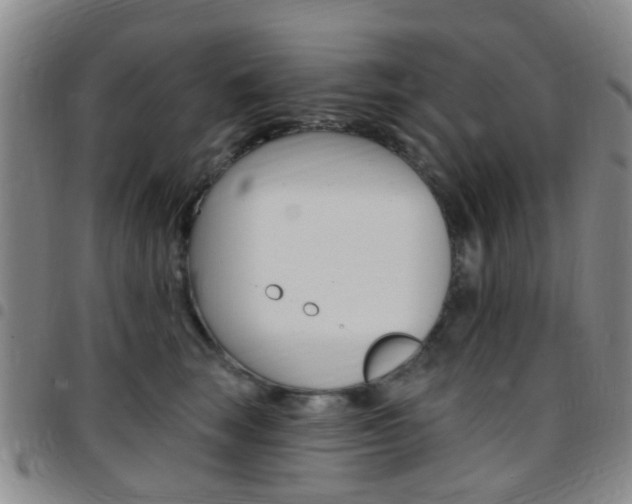 X0000097830663200803140829