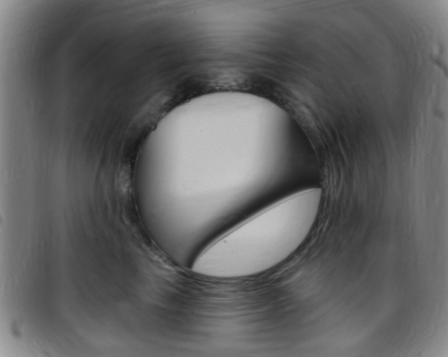 X0000097830665200803140829