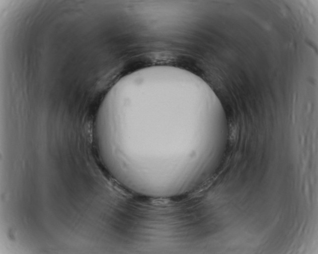 X0000097830666200803140829