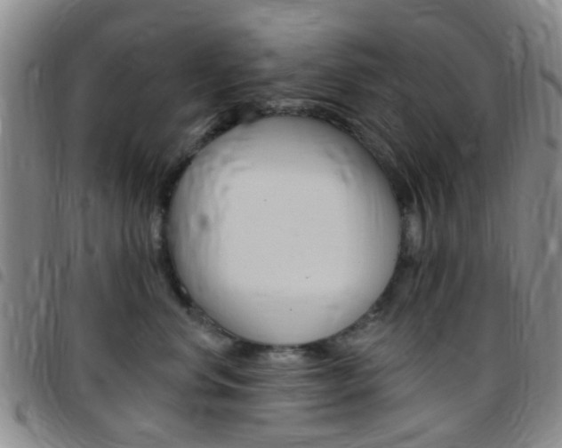 X0000097830668200803140829