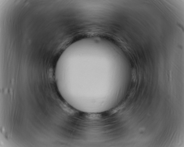 X0000097830670200803140829