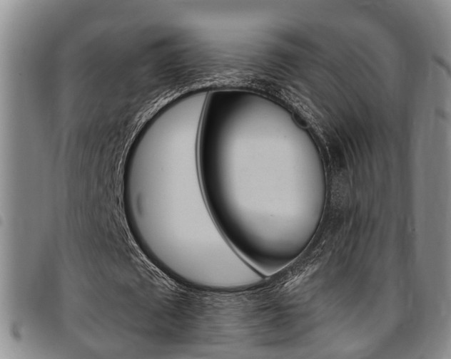 X0000097830673200803140828