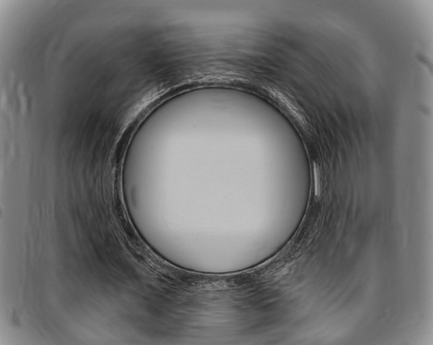 X0000097830675200803140828