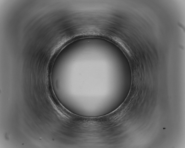 X0000097830677200803140828