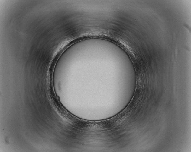 X0000097830678200803140828