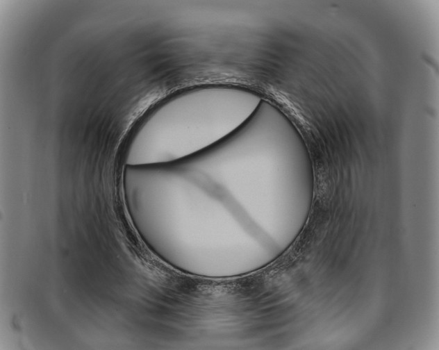 X0000097830679200803140828