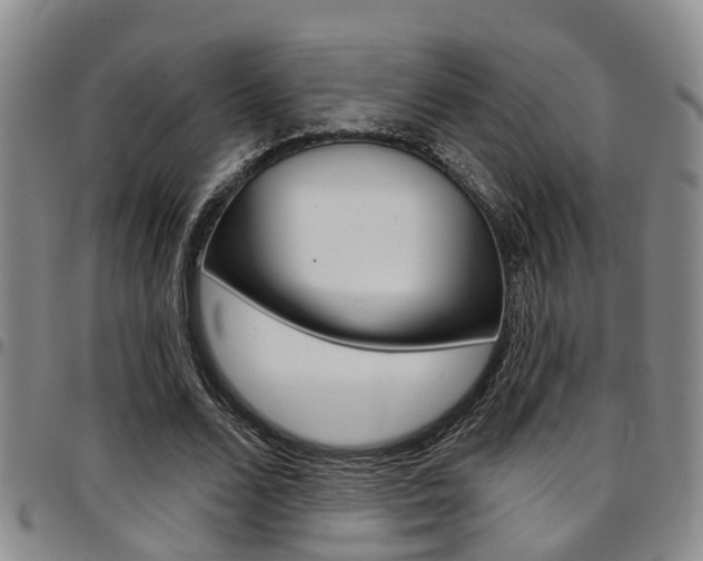 X0000097830680200803140828