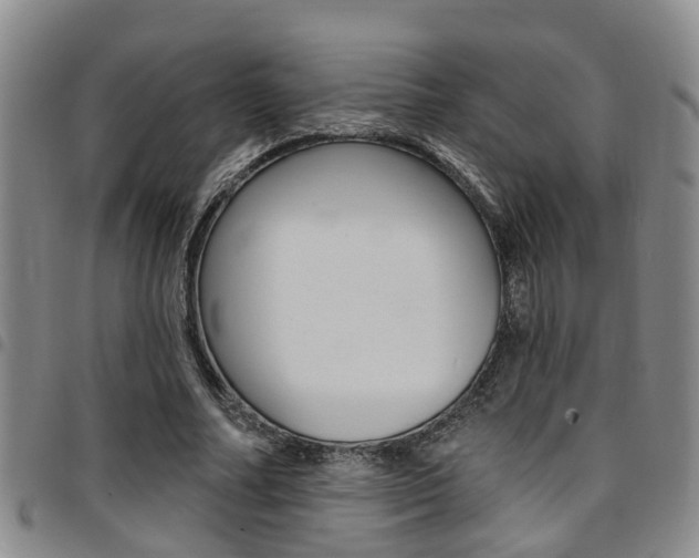 X0000097830682200803140828