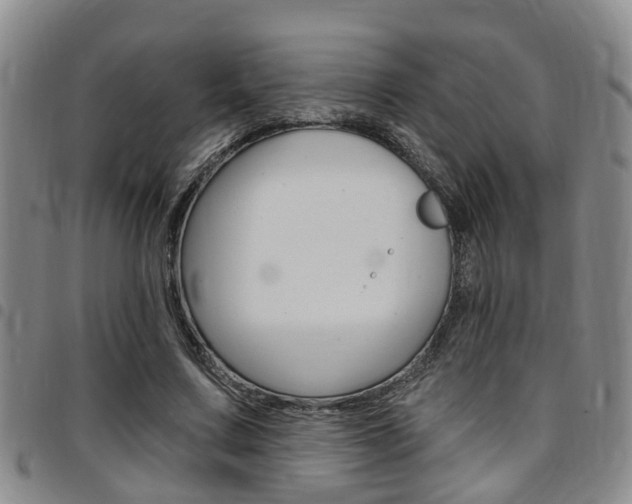 X0000097830683200803140828