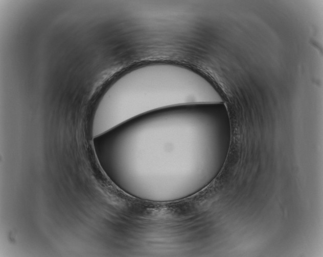 X0000097830688200803140828