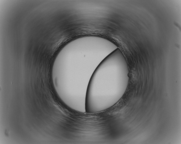 X0000097830691200803140828
