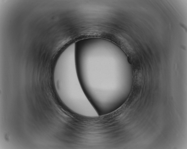 X0000097830692200803140828