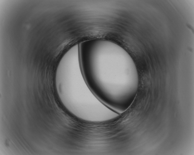 X0000097830693200803140828