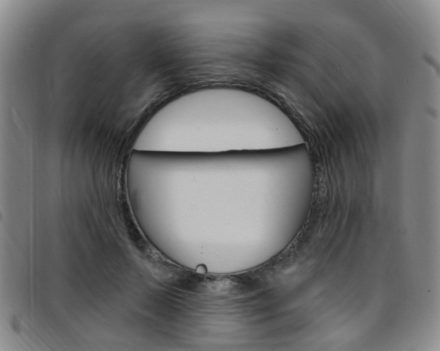 X0000097830695200803140828