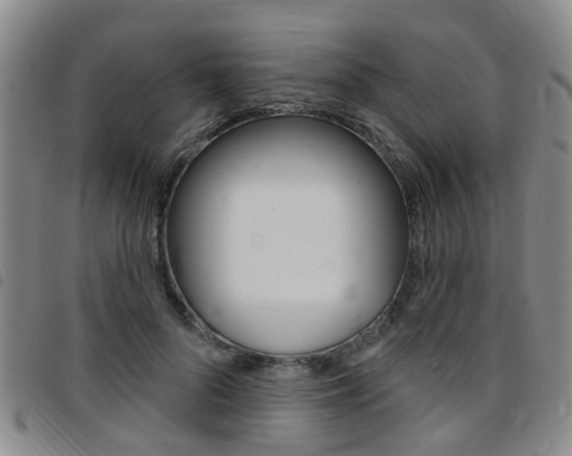 X0000097830696200803140828