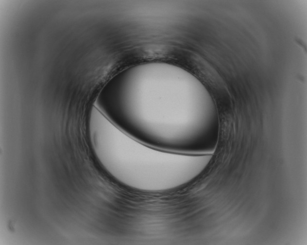X0000097830700200803140828