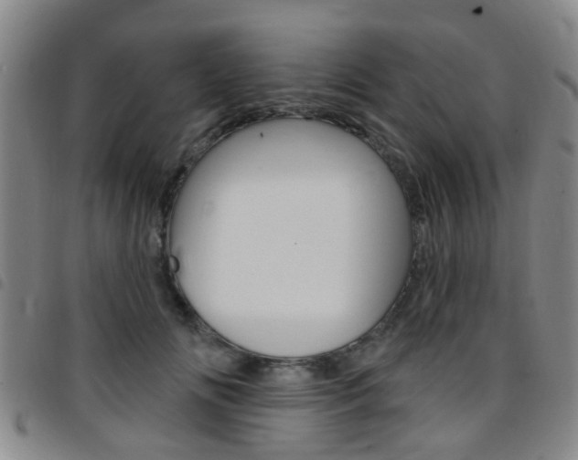 X0000097830702200803140828