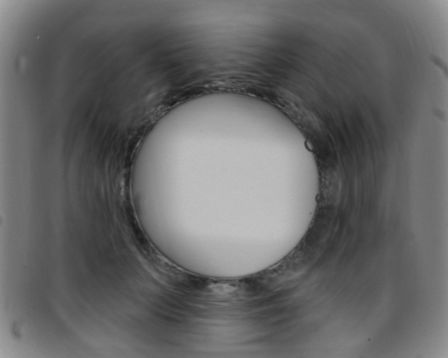 X0000097830703200803140828